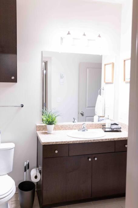 Amplify Spaces 1 And 2 Bedroom Apartments, Downtown Birmingham, Uab Экстерьер фото
